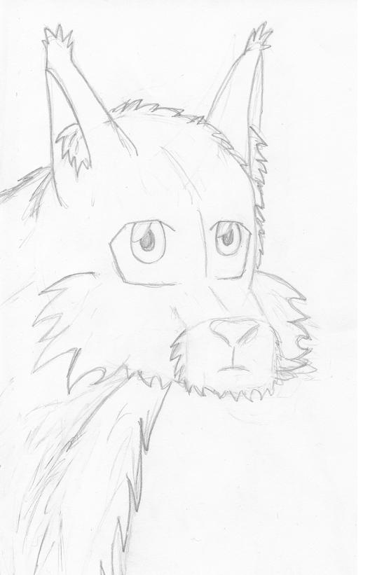 Just a sketch by Pegasus