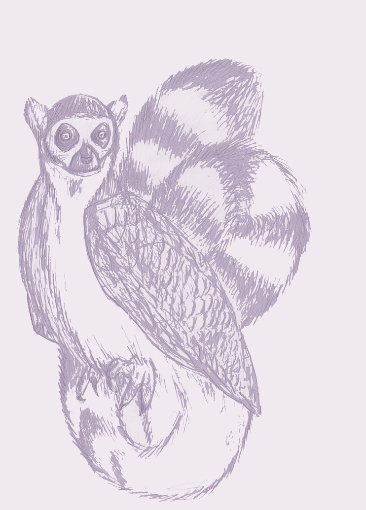 Winged Lemur. by Pegasus