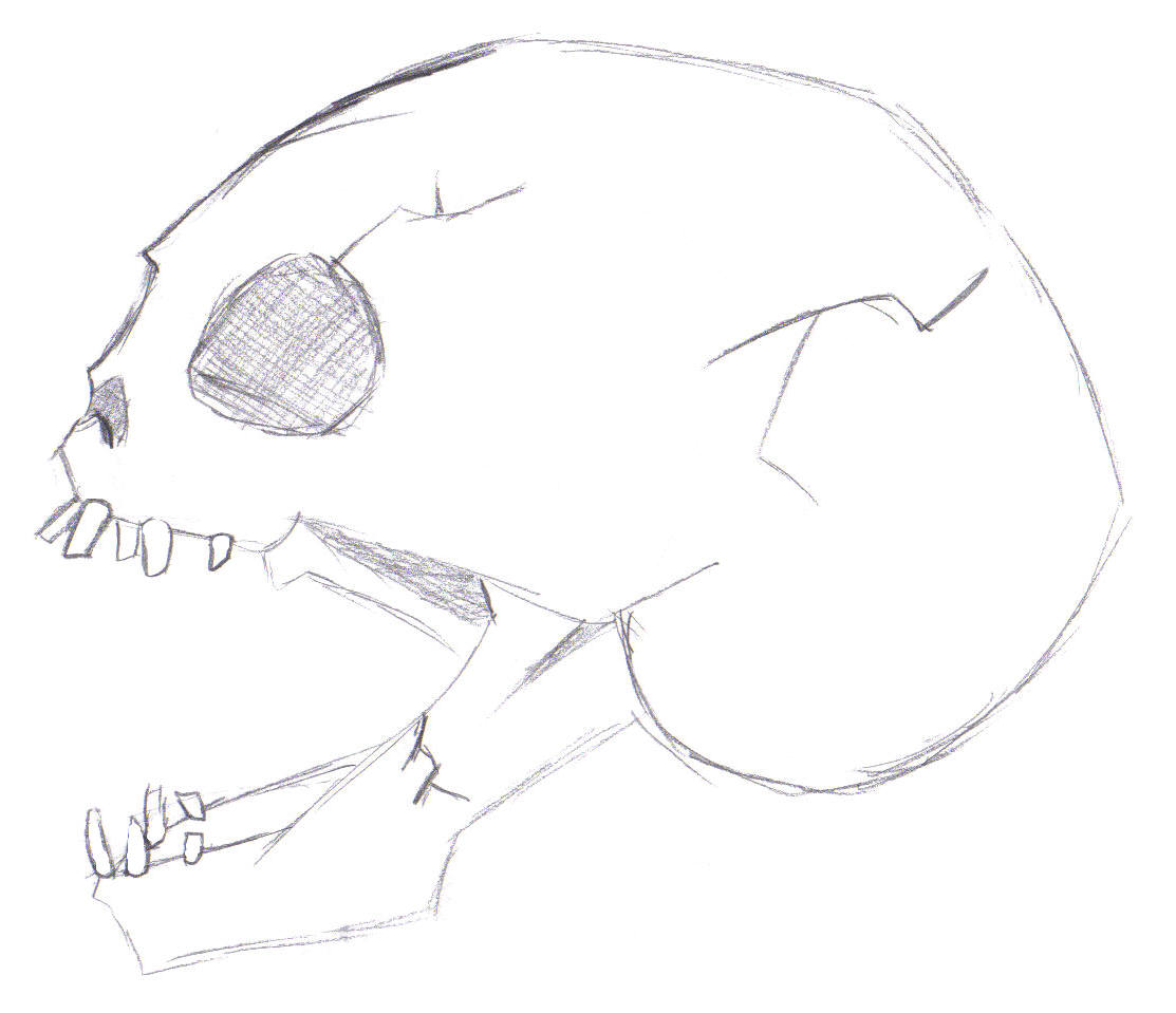 Skull Sketch by Penguins_luv_LSD