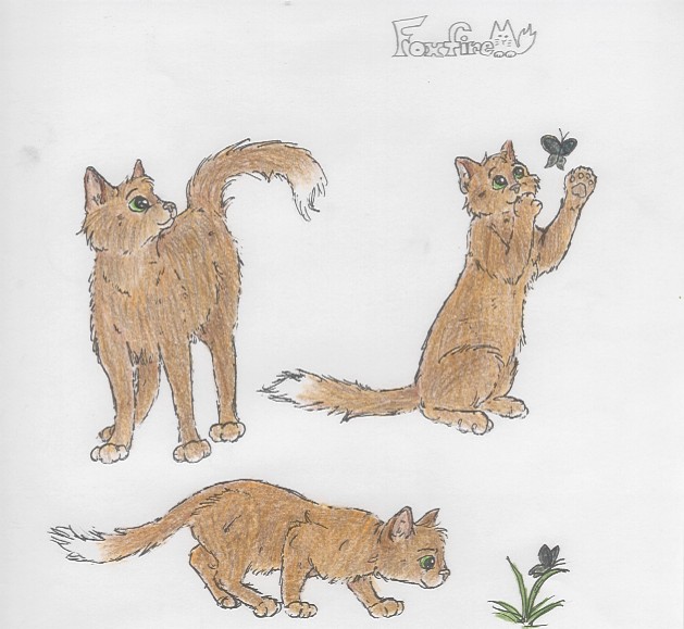 Foxfire for Silverfox :) by Pennybrite_Moonsparrow