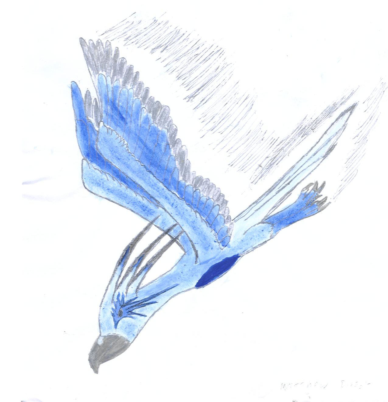 ice phoenix by Peridot