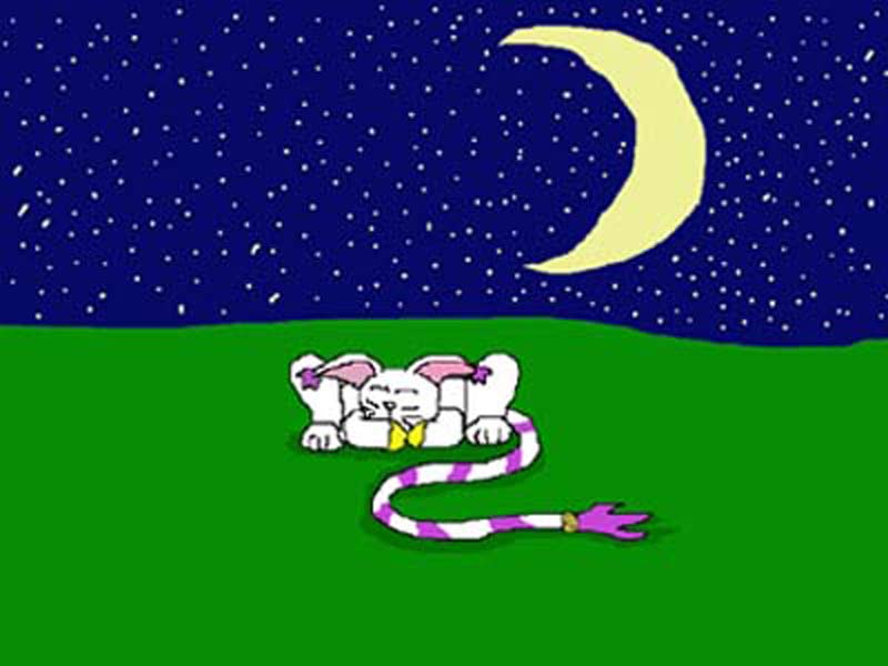 Asleep under the digi-stars(gatomon)(redone) by Phantomdragoness