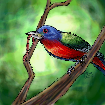 Painted Bunting by Pink_Shimmer