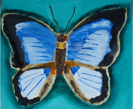 A butterfly by PiscesGirl