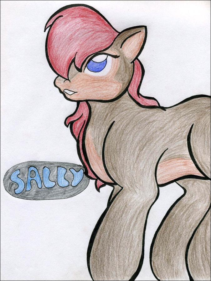 My Sally Pony? by PrincessSallyAcorn