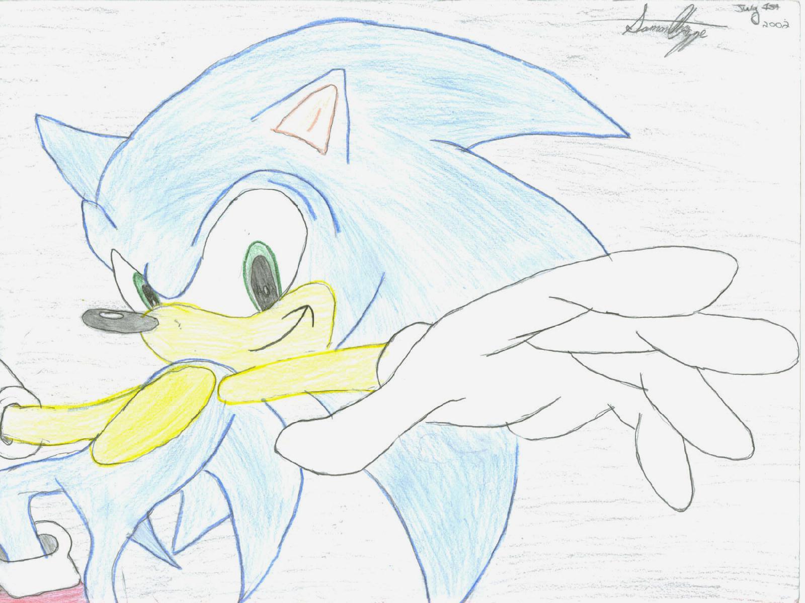 Sonic the hedgehog by PrincessWarrior