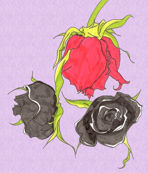 Roses *request* by PrincessWombat