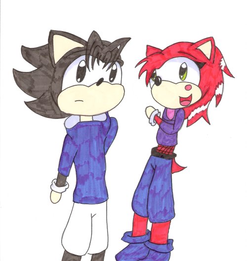 Sasuke and Anzai hedgehogs *coloured* by PrincessWombat