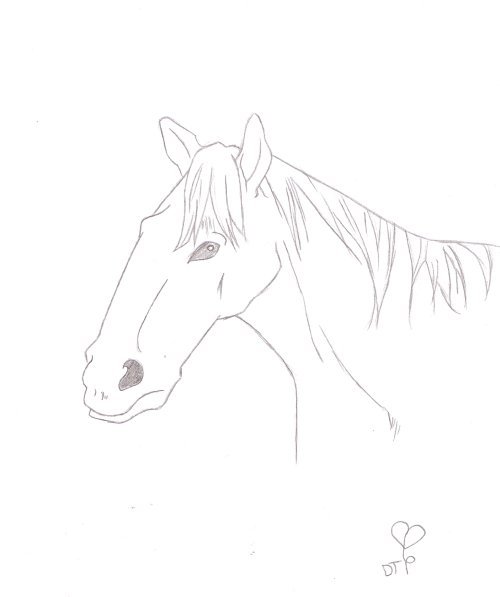 Horse *request* by PrincessWombat
