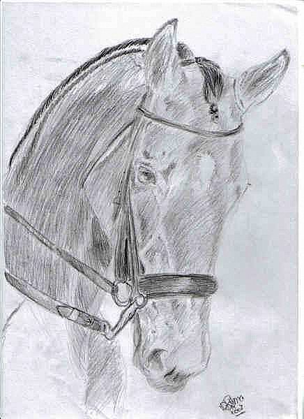Horse by Priss