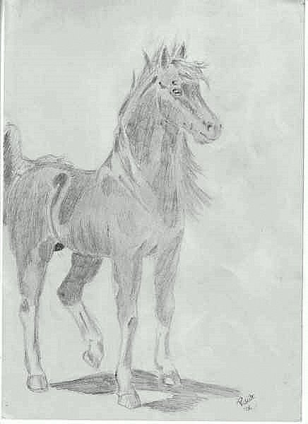 Horse by Priss