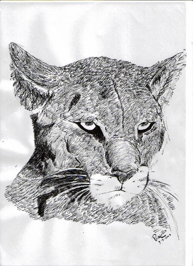 Puma ink by Priss