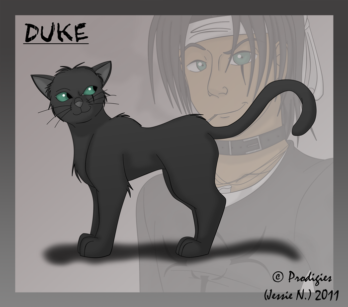 Duke Cat Form by Prodigies