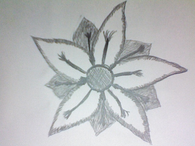 A flower I drew for art homework! ^-^ by PuffBubble