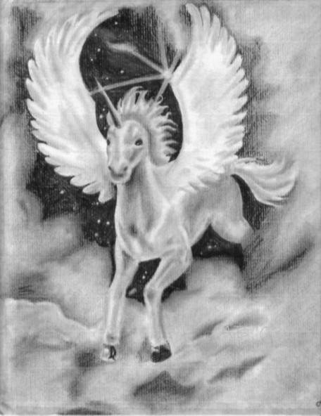 A Pegasus Unicorn by PurplePrincess