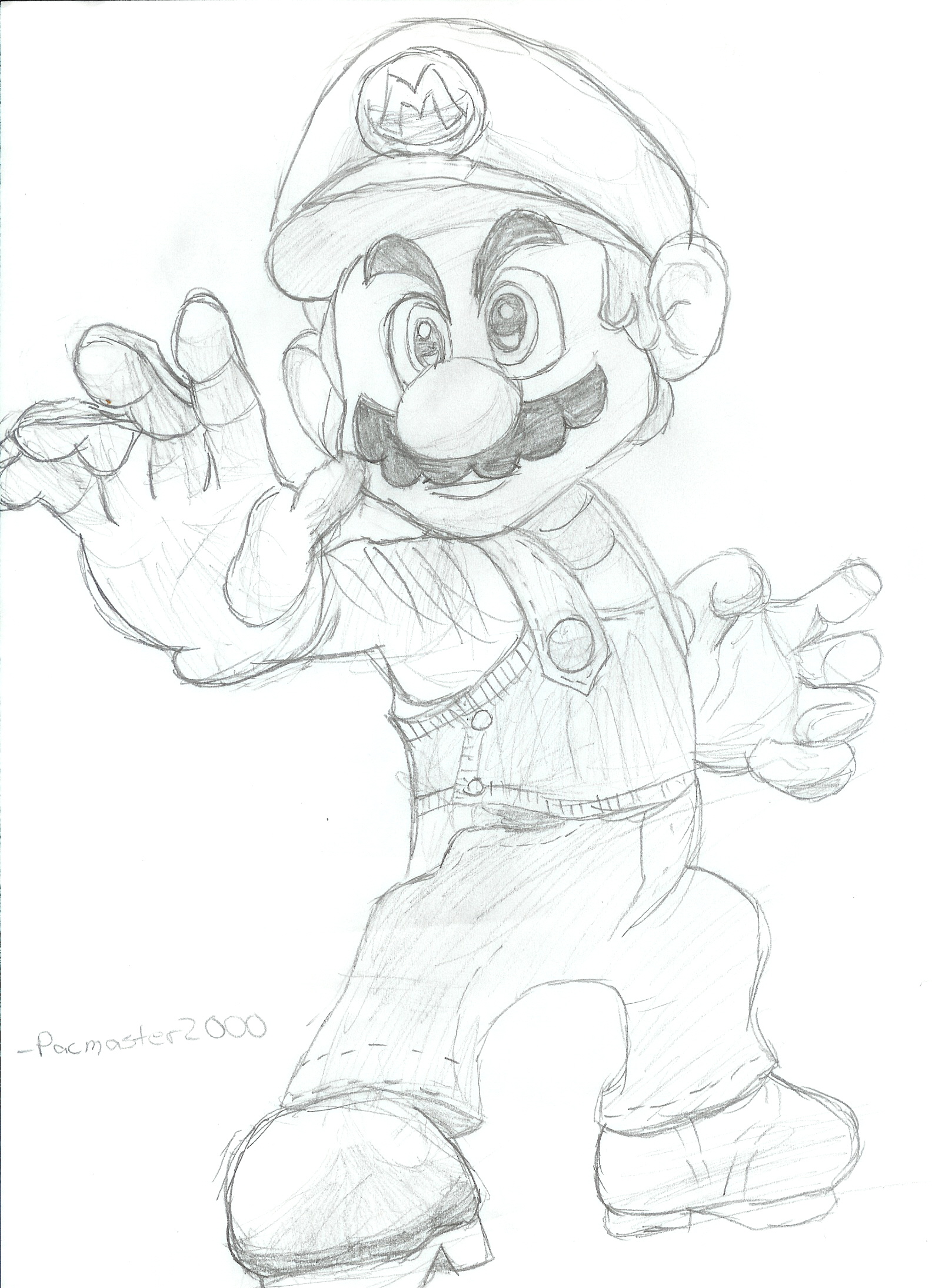 Super Smash Bros. Brawl: Mario by pacmaster2000