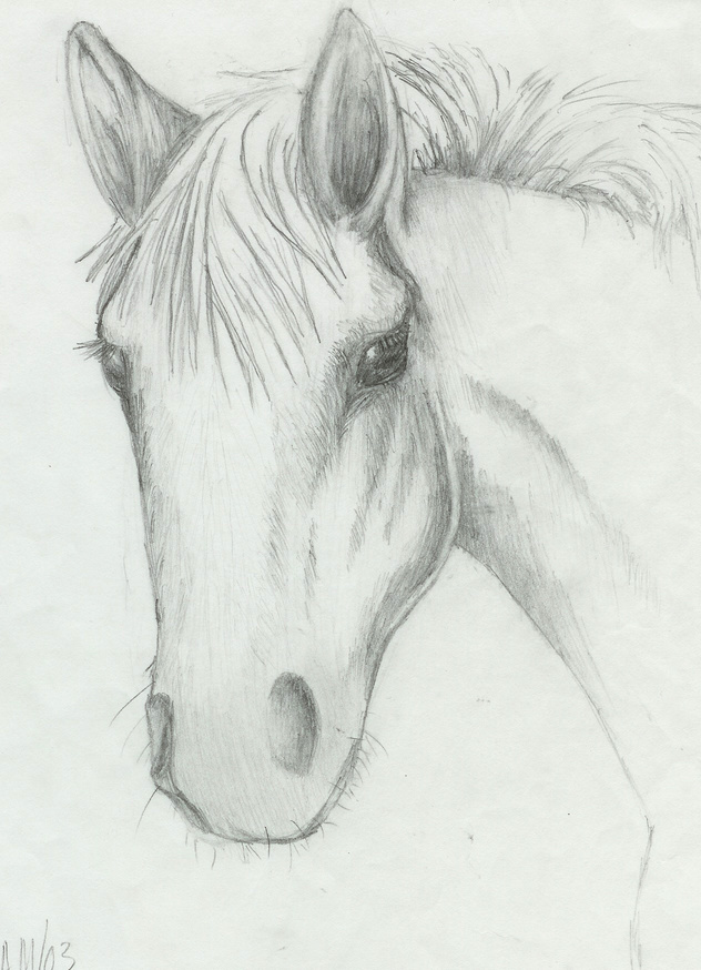 Horse Head by papaya_shocka