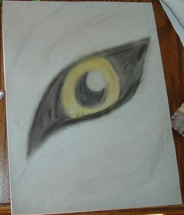 Kiba's Eye? by paperpenman