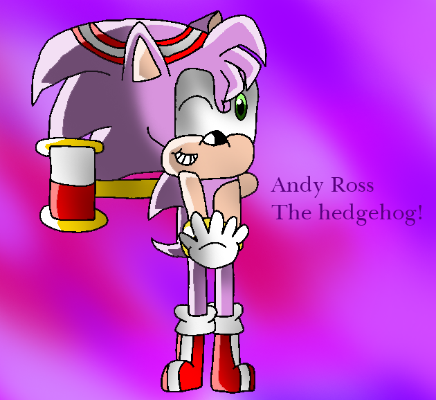 Gender bender: Andy Ross The Hedgehog. by papiocutie