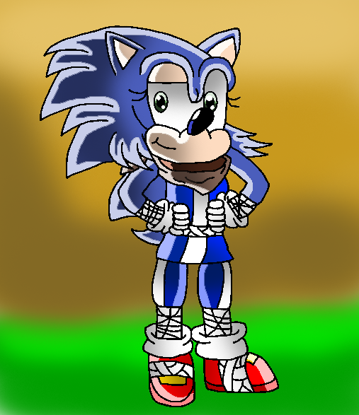 Gender bender: Sonic The Hedgehog (Sonic boom) by papiocutie
