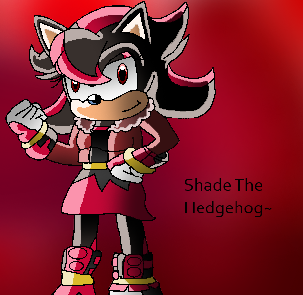 Gender Bender: Shadow The Hedgehog(Sonic Boom) by papiocutie