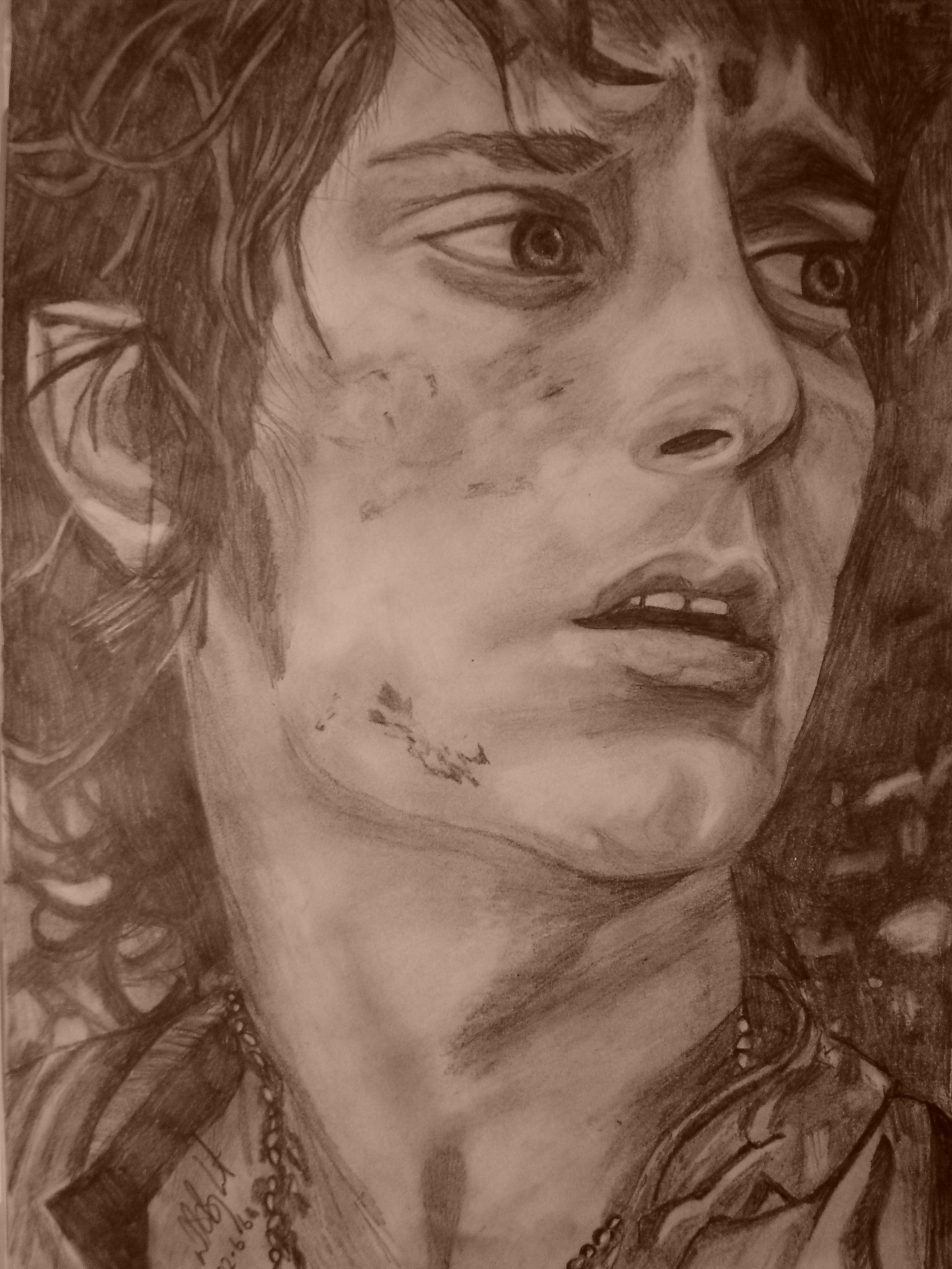 Frodo's Darkness by pebbles