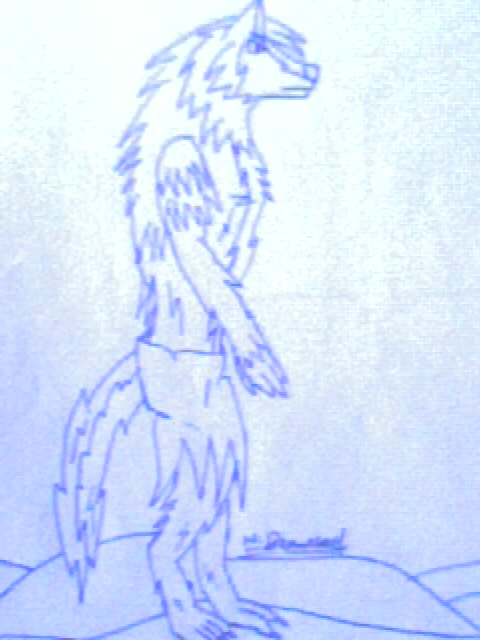 Random wolf guy by penguinmaster