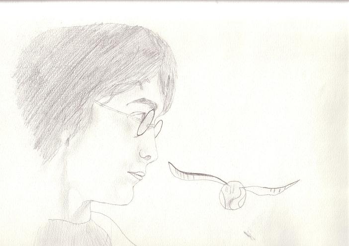 Harry Potter by perfectpureblood