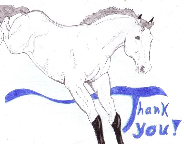 Thank you horse by perfectpureblood
