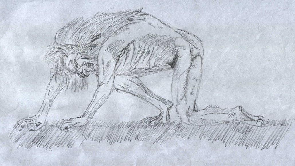 werewolf transforming by pheonixfire