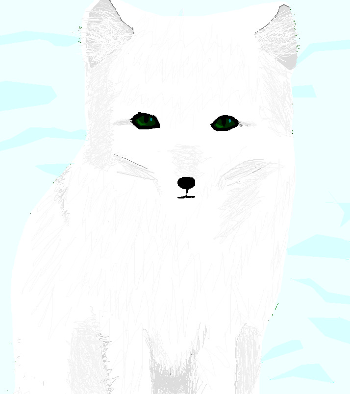 arctic fox for contest by piegurl