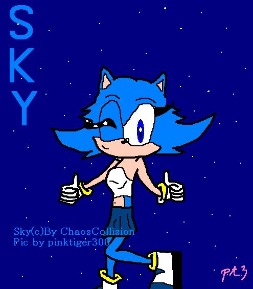 Sky (Gift for ChaosCollision) by pinktiger300