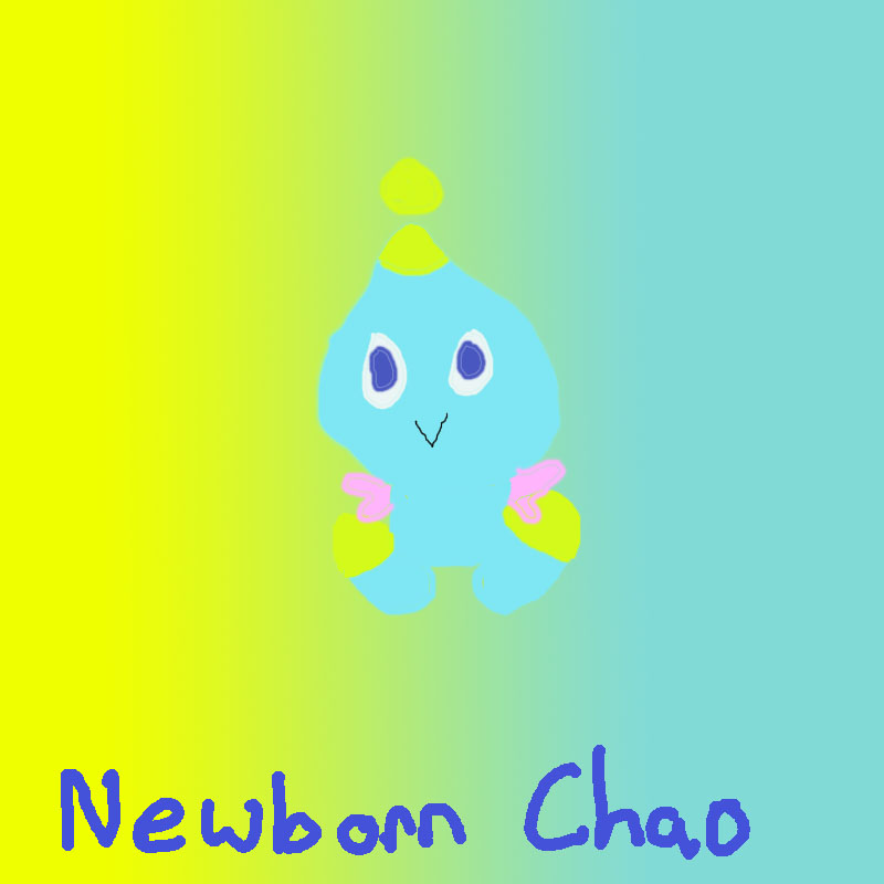 Newborn Chao by pixiepumpkin