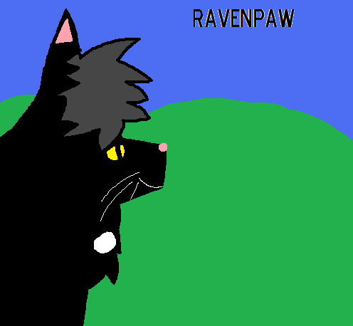 Ravenpaw on M.S paint by pixiewolf05