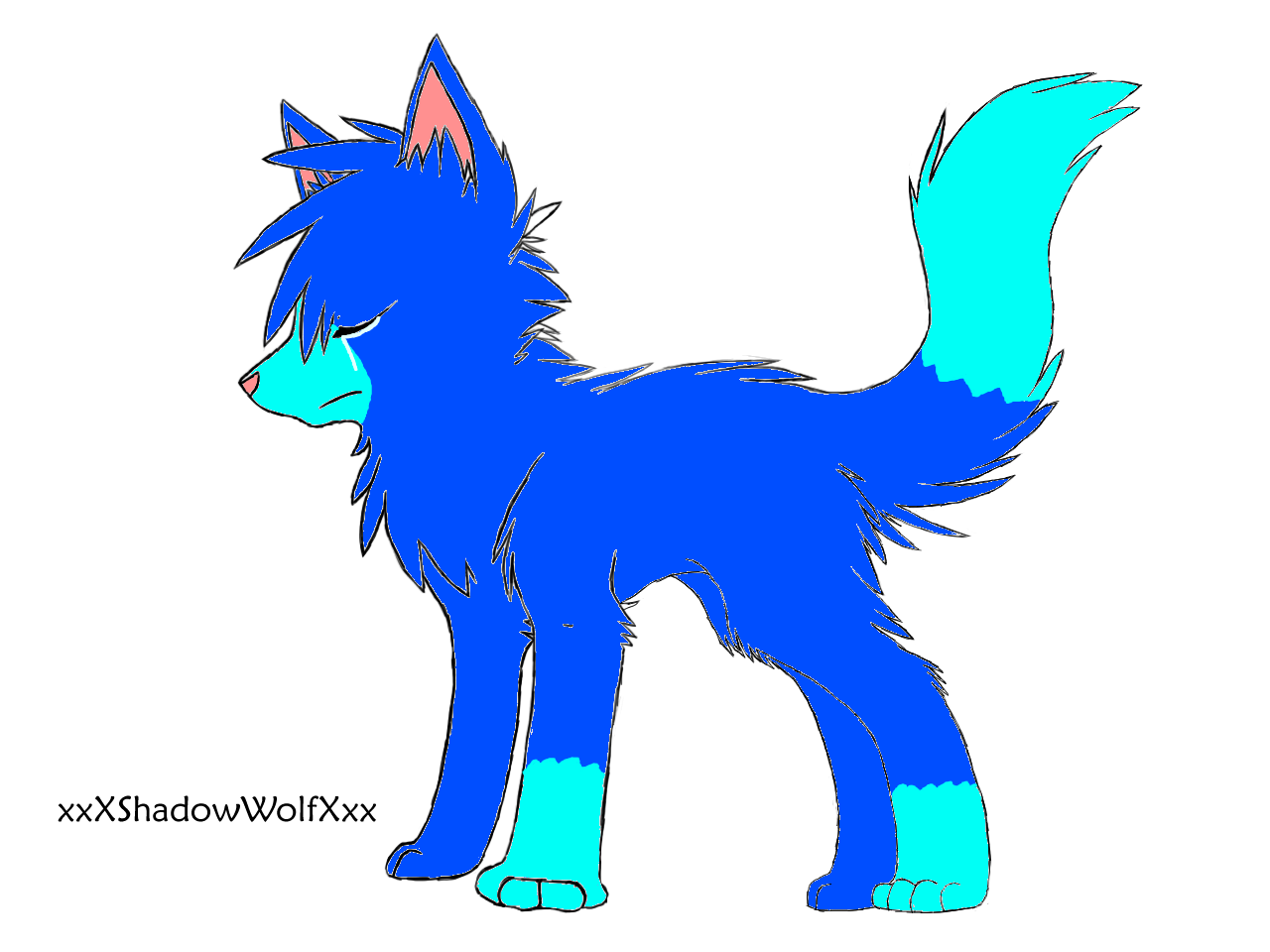 My new Fursona Sasha ~COLORED COLORED COLORED!!!~ by pixiewolf05