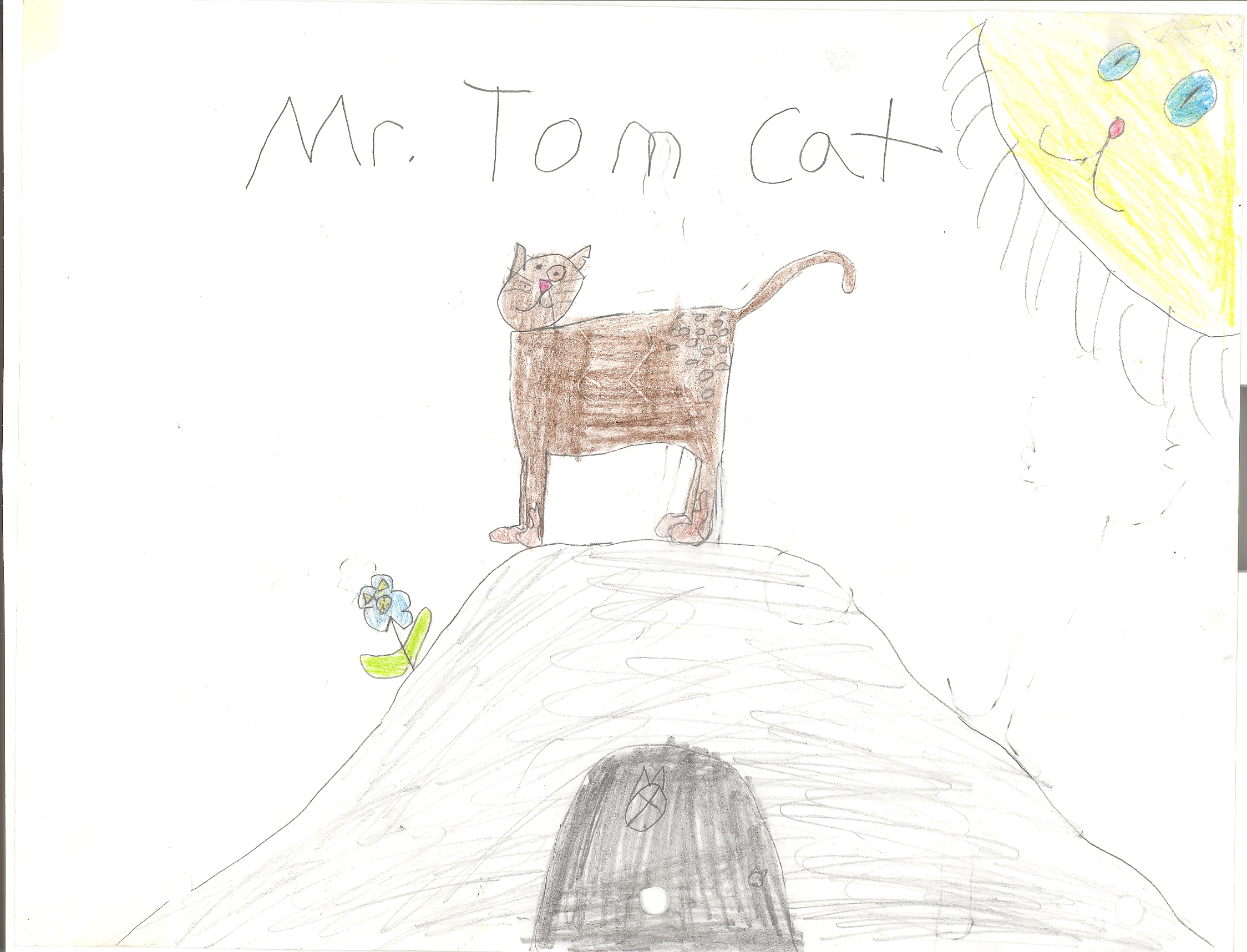 Mr. Tom Cat by pokelover