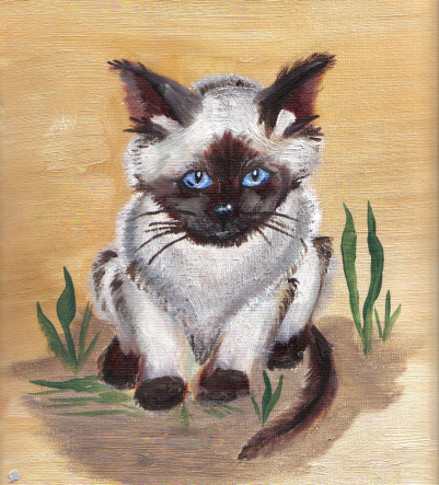Kitten! by poopmaster