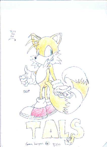Tails by puffycombes