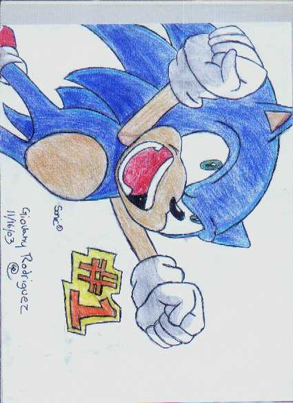 sonic is #1 by puffycombes