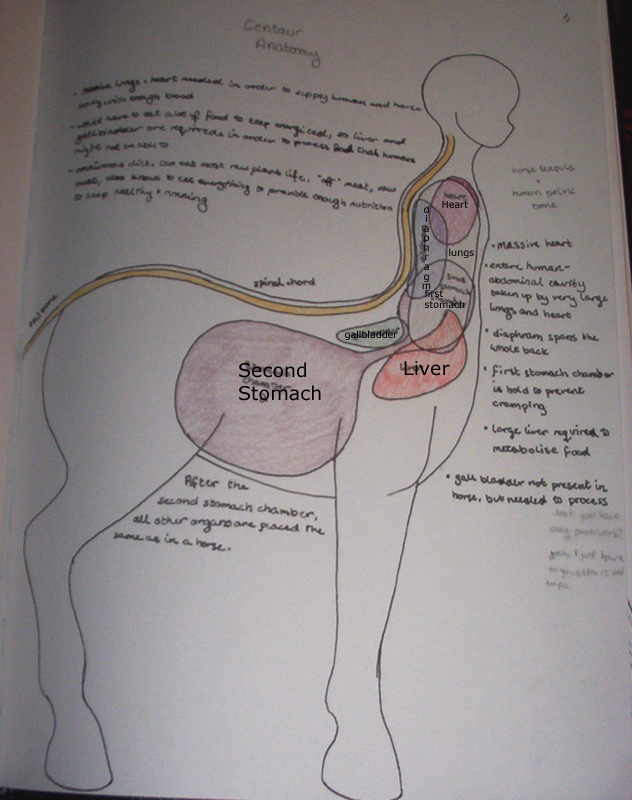 Anatomy 101 by punchbuggy