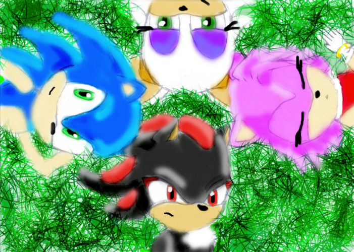 Shadow, Sonic, Rouge and Amy!:3 by putfile