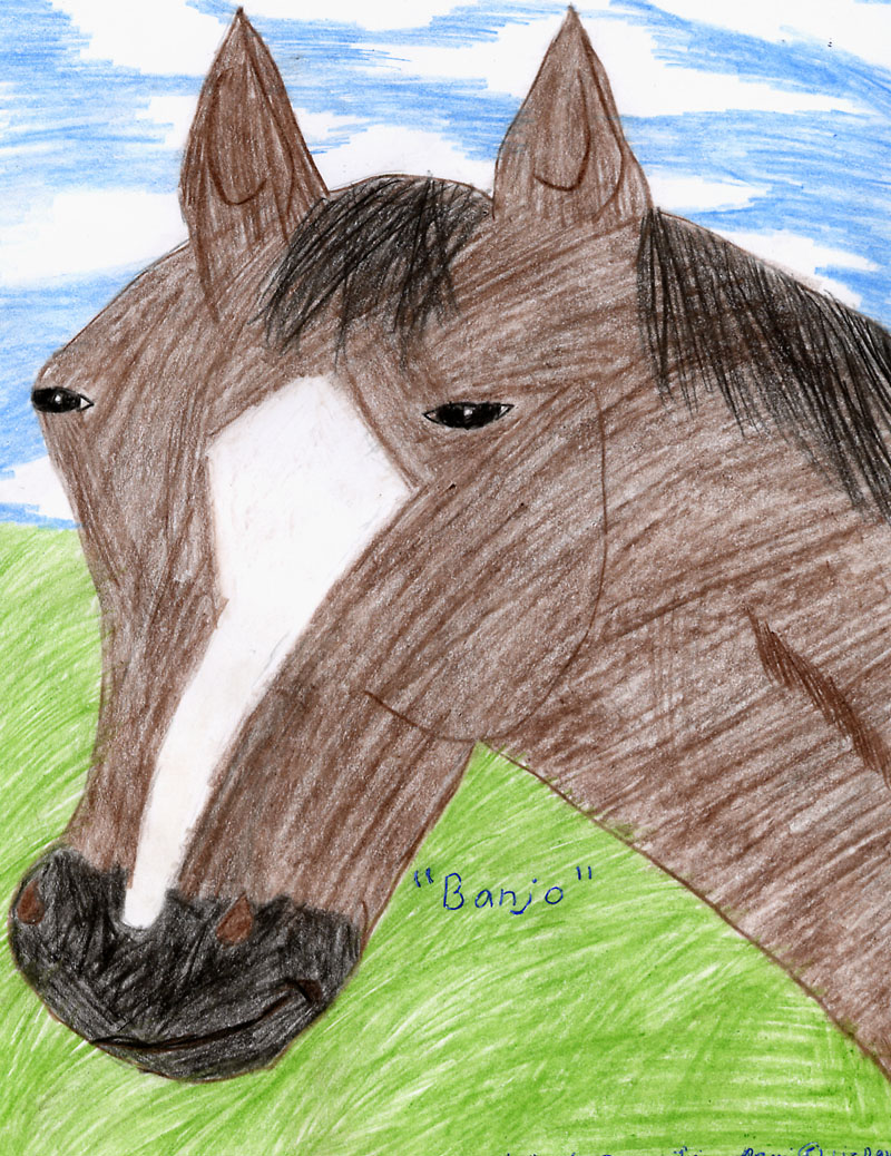 My Horse by QuarterHorseLover