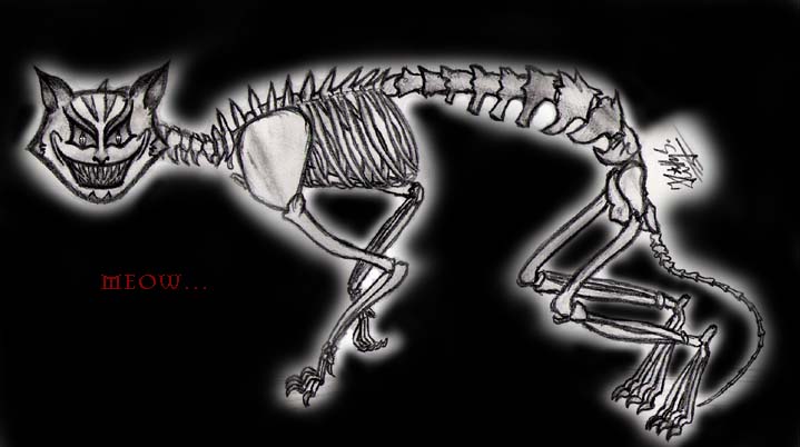 Skeleton - Evil  Cat by QueenOfRockNRoll