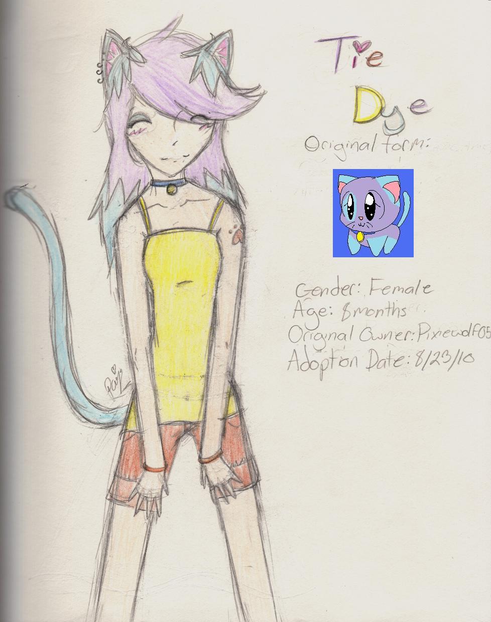 Tie Dye - From Pixiewolf05's Kitty adoption by QueenPaige