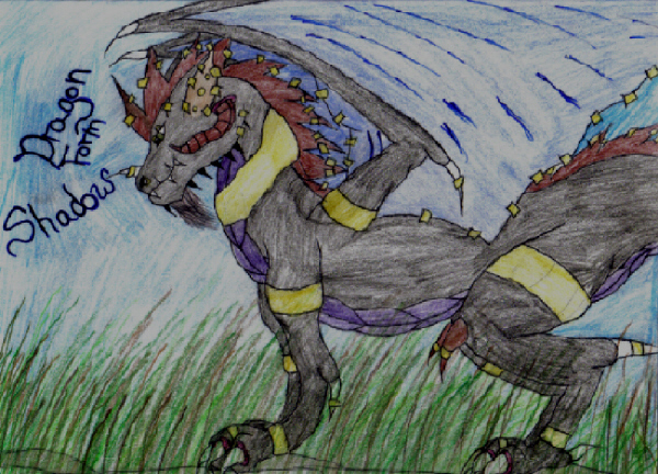 Dragon Form Shadow by Queen_Asheer5600