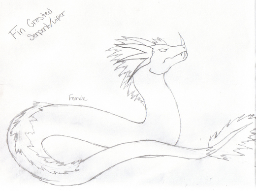 Female Fin Crest by Queen_Asheer5600
