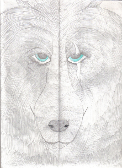 Wolf's Stare by Queen_Asheer5600