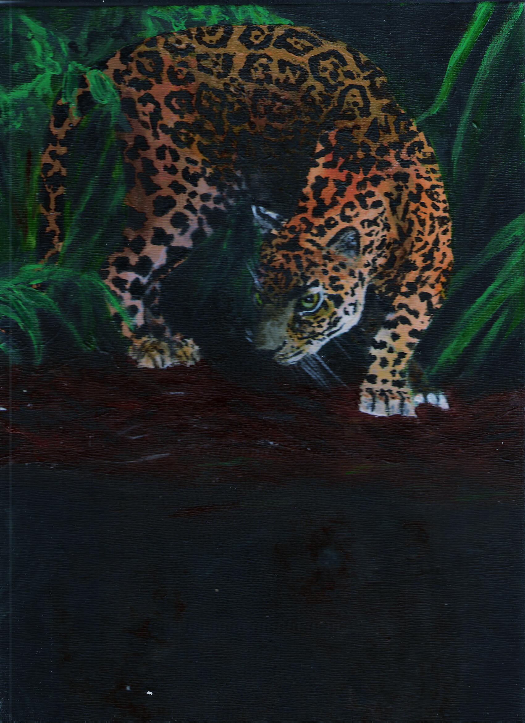 Jaguar by Quizzabella