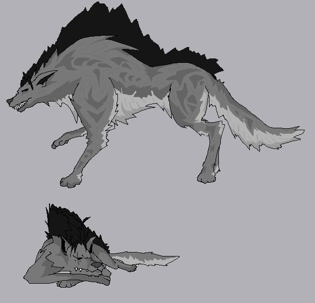 gray wolf by qazqaz1