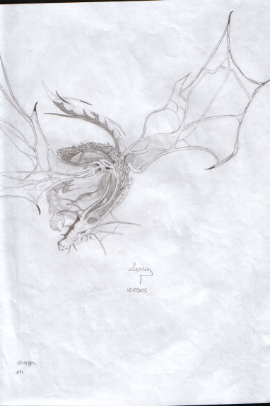 dragon by quentin